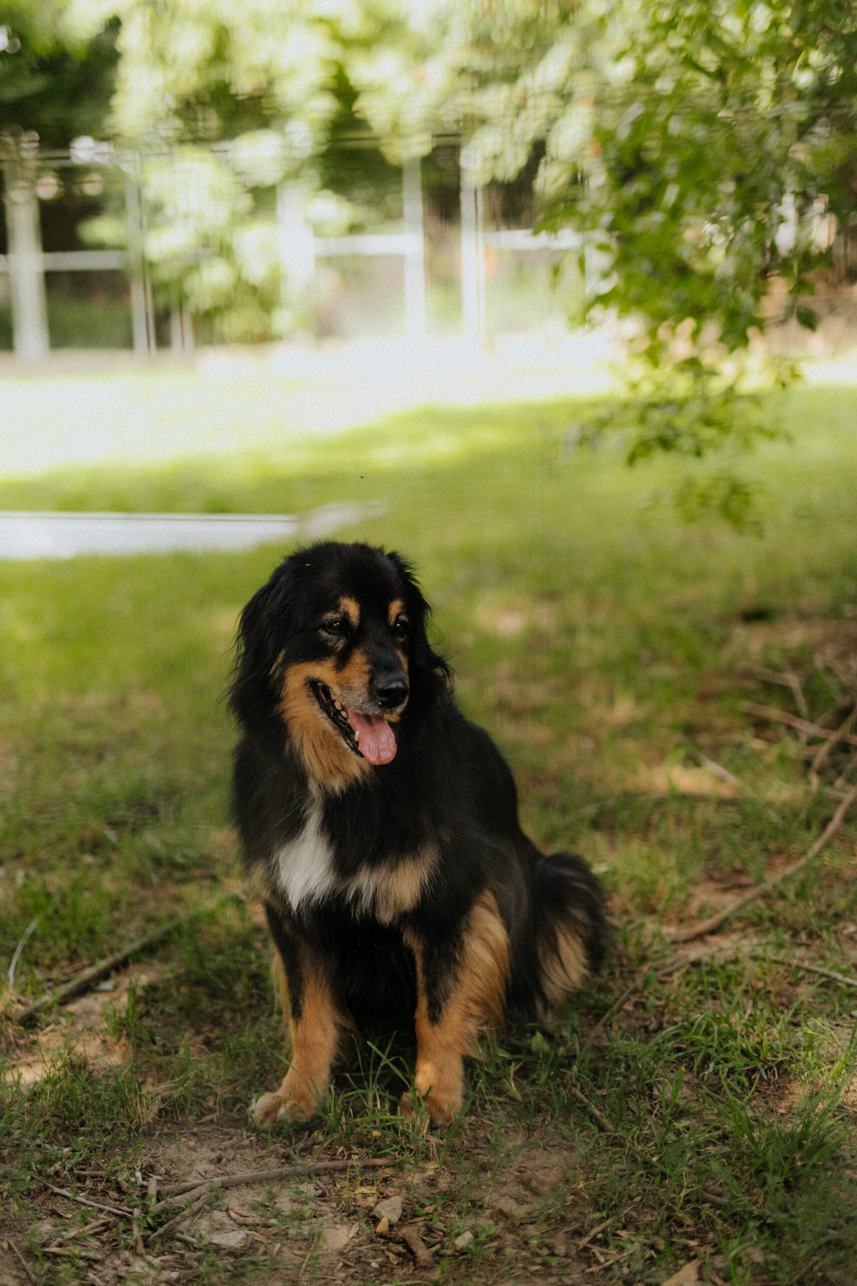 Rambo