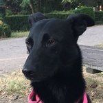 Aldo